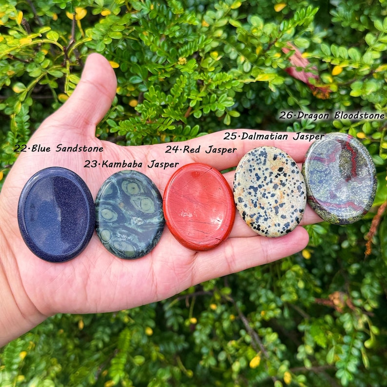 May include: Five polished gemstones: Blue Sandstone, Kambaba Jasper, Red Jasper, Dalmatian Jasper, and Dragon Bloodstone. Each stone is oval-shaped and has a unique color and pattern. The gemstones are held in a hand against a backdrop of green foliage.