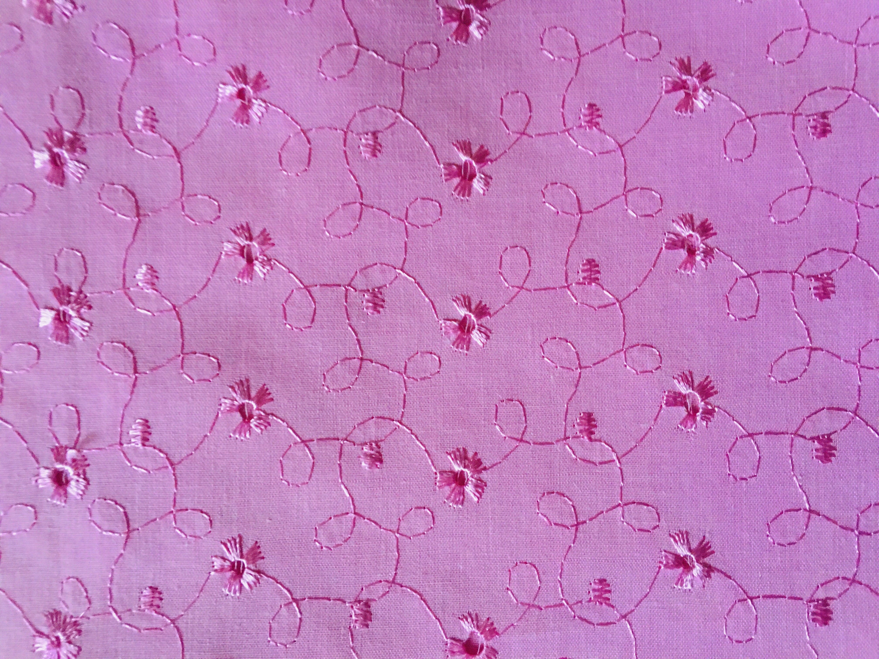 5.5 Yards 6 Wide Hot Pink Eyelet Cotton Lace with Embroidered Flower Trim  b0410 