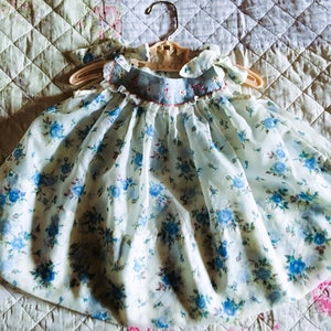 Absolutely Adorable Vintage Sheer Nylon Blue Pink Roses Lace Hand Embroidered Baby Doll Sundress Dress