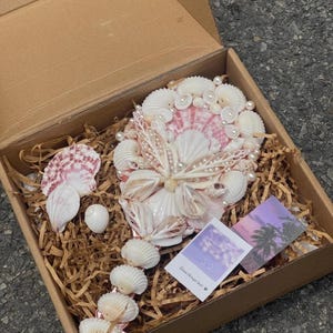 May include: A decorative seashell arrangement in a cardboard box. The arrangement features white and pink seashells, pearls, and a central floral design. The box also contains decorative paper and small cards.