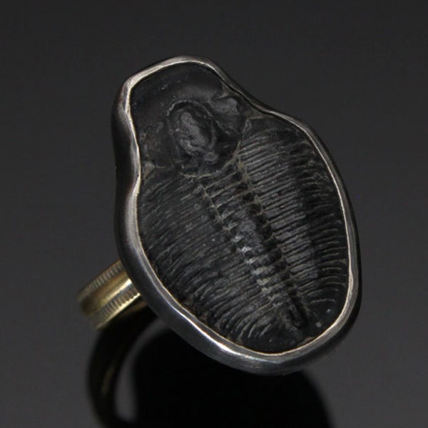 Trilobite Ring