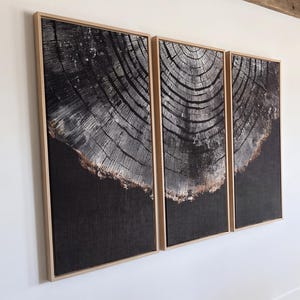 Könnte beinhalten: Ein dreiteiliges Wandbild-Set mit einer schwarz-weißen Nahaufnahme eines Baumstammquerschnitts mit sichtbaren Jahresringen, gerahmt in hellem Holz, montiert an einer weißen Wand in einem Wohnraum.