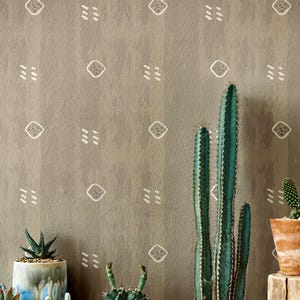 May include: A collection of various cacti and succulents in diverse pots, including terracotta, ceramic, and metal containers, arranged against a taupe wall featuring a repeating pattern of white diamonds and small dash marks.