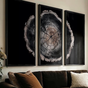 Anillos de árbol negros / Arte de pared grande de 3 piezas, conjunto de lienzo enmarcado de gran tamaño, impresión tríptico panorámico oscuro
