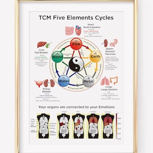 TCM Fünf-Elemente-Kreis | TCM Fünf-Elemente-Theorie Rad | Traditionelle Chinesische Medizin Poster | Bestseller | Digitaler Download