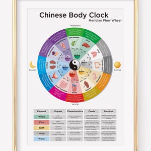 Chinese traditional medicine meridian chart - Etsy 日本