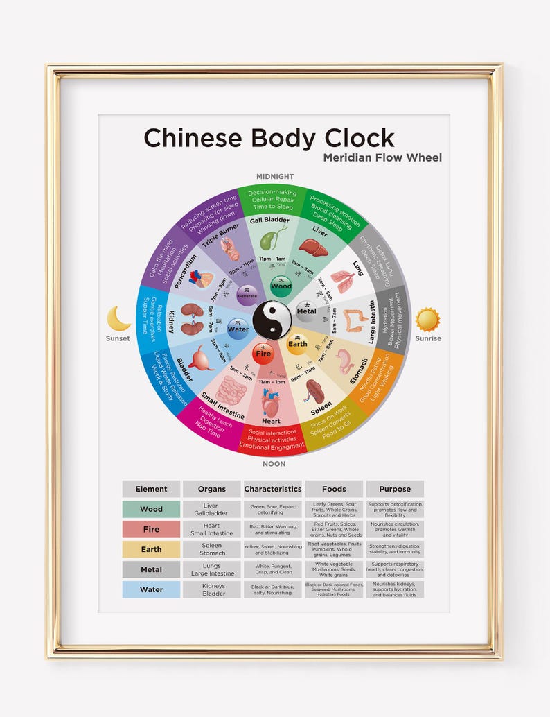 Chinese Medicine Body Clock Chart | TCM Meridian Flow | TCM 24 Hour ...