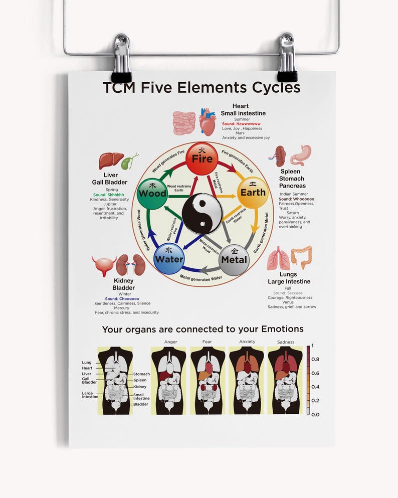 TCM Five Element Cycle | TCM Five Element Theory Wheel | Traditional ...