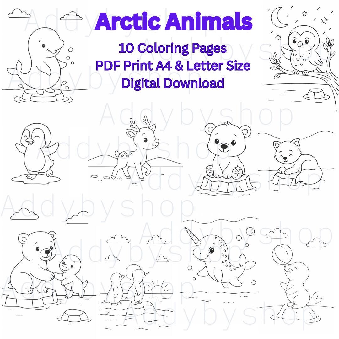 Arctic Animals Coloring Pages for Kids: Printable Winter Animals ...