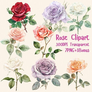 Watercolor Rose Clipart PNGs, Watercolor Rose Digital Download Floral Clipart Bouquet, 7 PNGs + Bonus