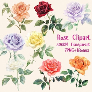 Watercolor rose clipart PNGs, hand-painted floral digital download, rose PNGs for invitations, crafts, scrapbooking, and sublimation