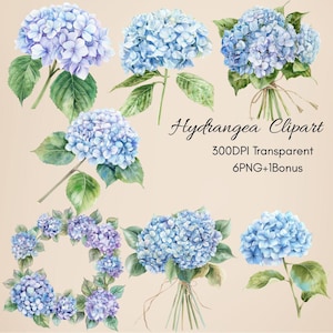Blue Hydrangea Watercolor Clipart: Floral Bouquet & Wreath (PNG Digital Download