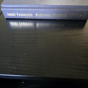 Grote lettertype Notorious Nineteen van Janet Evanovich, hardcoverroman