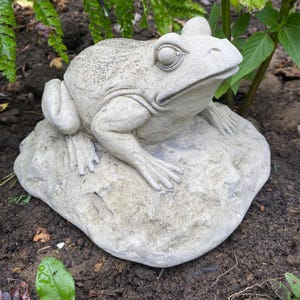 May include: A light grey frog sculpture resting on a textured stone base. The frog has detailed features and is set amidst green foliage and dark soil, creating a natural garden scene. A decorative garden ornament.