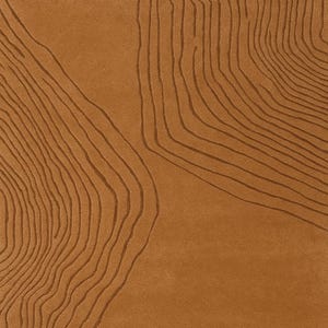 May include: A rectangular, brown rug with a topographic design. The rug features a solid brown background with darker brown, curved lines that resemble contour lines on a map. The lines create a textured, layered effect.
