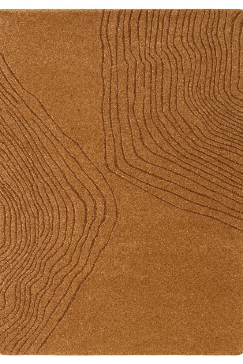 May include: A rectangular, brown rug with a topographic design. The rug features a solid brown background with darker brown, curved lines that resemble contour lines on a map. The lines create a textured, layered effect.