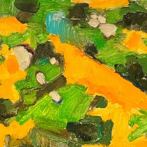 Superbloom California poppies Wildflowers San Diego painting