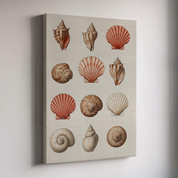 Vintage Seashell Wall Art Print, Coastal Nautical Shell Illustration on Linen Canvas, Beach House Bathroom or Ocean-Inspired Gallery Decor