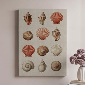 Vintage Seashell Wall Art Print, Coastal Nautical Shell Illustration on Linen Canvas, Beach House Bathroom or Ocean-Inspired Gallery Decor