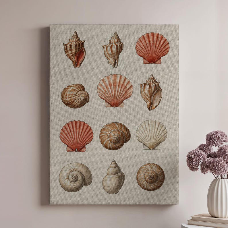Vintage Seashell Wall Art Print, Coastal Nautical Shell Illustration on Linen Canvas, Beach House Bathroom or Ocean-Inspired Gallery Decor