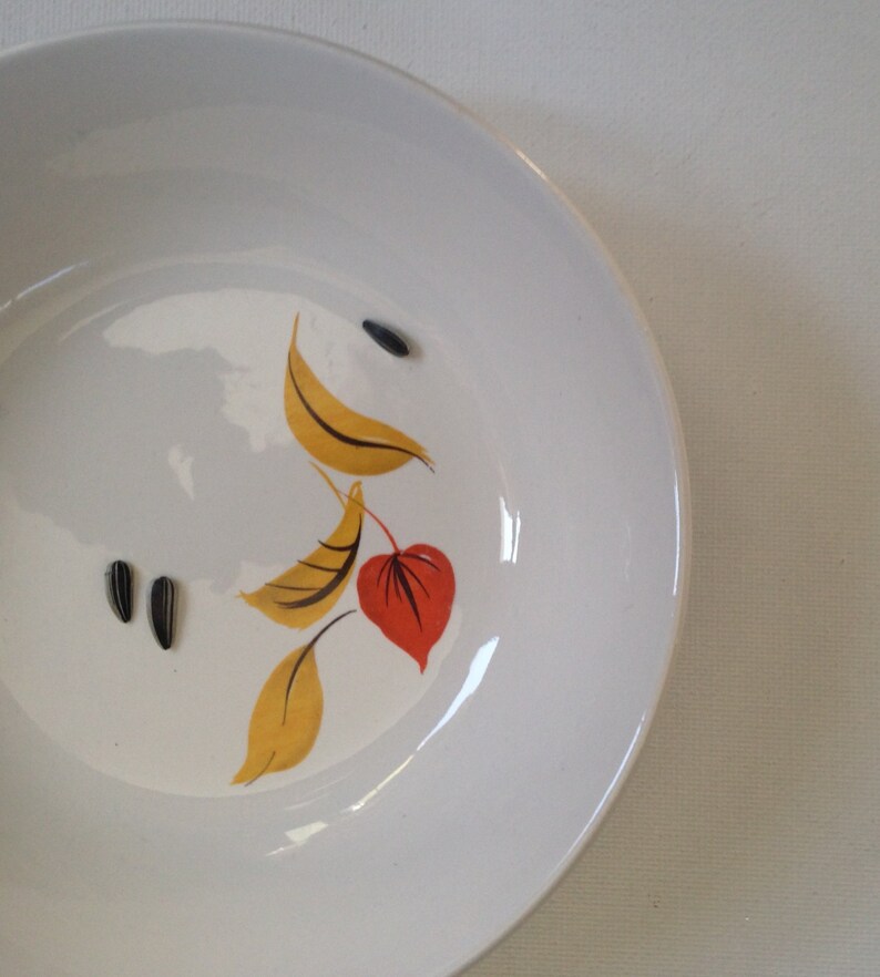 Salem Mandarin two midcentury bowls
