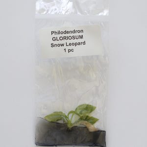 May include: A white ceramic mug with a black handle and the text "But First, Coffee" in a black, handwritten-style font. The mug is on a white surface.