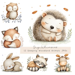 Puede incluir: Ilustraciones en acuarela de animales del bosque durmiendo, incluyendo un búho, un zorro, un erizo, un conejo, un mapache y un ciervo. Los animales están representados en colores suaves con los ojos cerrados, rodeados de hojas y estrellas. Texto: "DigiWhimsies 12 Sleeping Woodland Animals JPGs."