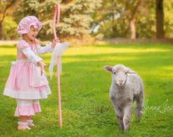 Little Bo Peep Inspired Boutique Costume Dress Size 2T 3T 4T 5 6