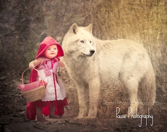 Little Red Riding Hood Boutique Costume Size 2T 3T 4T 5 6