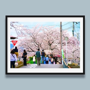 Set of 5, Kyoto, Japan photo, Sakura Blossom, Tenjinkawa, Japan travel Photography, Digital art, Wall art, Digital Print, instant download
