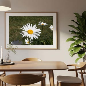 Foto di margherite, stampa artistica da parete di margherite bianche, fotografia di fiori bianchi e gialli, immagine di fiori, decorazione da parete naturalistica, immagine di margherite, foto di camomilla