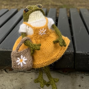 Knitted Frog in Glasses with a Tiny Bag – Handmade Interior Doll