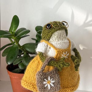 May include: A knitted frog figurine wearing a yellow dress, white shirt, and small glasses. The frog is holding a brown purse with a white flower design. A potted plant is in the background.