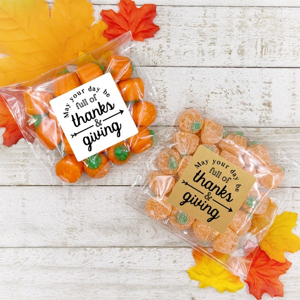 Thanksgiving favors, stickers and bags, set of 20, Thanks and Giving, Matte white, Kraft brown, autumn decor, table decoration, rustic chic