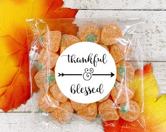 Thanksgiving favors, stickers and bags, set of 20, Thankful & Blessed, Matte white, Kraft brown, autumn decor, table decoration, rustic chic