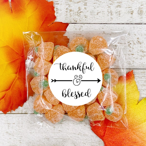 Thanksgiving favors, stickers and bags, set of 20, Thankful & Blessed, Matte white, Kraft brown, autumn decor, table decoration, rustic chic