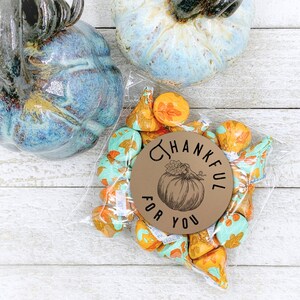 May include: A brown paper circle sticker with the text "Thankful for You" and a drawing of a pumpkin. The sticker is on a clear plastic bag filled with small chocolate candies with fall-themed designs.