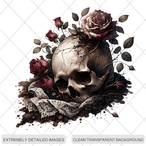 May include: An illustration of a human skull decorated with dark red roses and leaves. A white lace fabric is draped beneath the skull. The image has a gothic or romantic theme, with a transparent background.