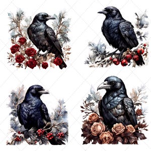May include: Four watercolor illustrations of crows perched on branches with floral arrangements. Each crow is depicted in shades of black and gray, surrounded by red, brown, and beige roses, and berries. The background is white with a subtle diamond pattern.