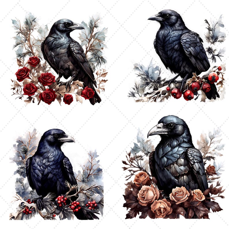 May include: Four watercolor illustrations of crows perched on branches with floral arrangements. Each crow is depicted in shades of black and gray, surrounded by red, brown, and beige roses, and berries. The background is white with a subtle diamond pattern.