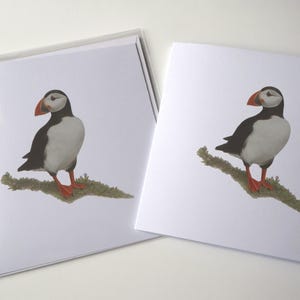 Carte pliée 6 x 6 macareux fiers avec enveloppe