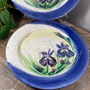May include: Two ceramic plates with hand-painted iris flower designs. The plates have a white speckled center with a yellow and green floral design. A blue border surrounds the plate. The iris flowers are purple with green leaves.
