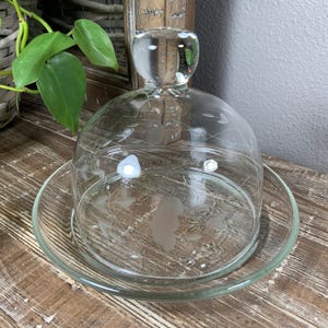 May include: A clear glass cloche with a round base and a domed lid. The lid has a small, rounded handle. Delicate etched floral designs adorn the glass. The cloche sits on a wooden surface.