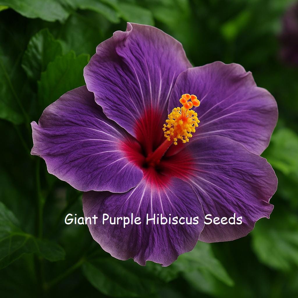 【ハイビスカス】他の方のご購入は御遠慮ください ラストワン賞+下位賞13点 il_fullxfull.7009407197_r5r6.jpg