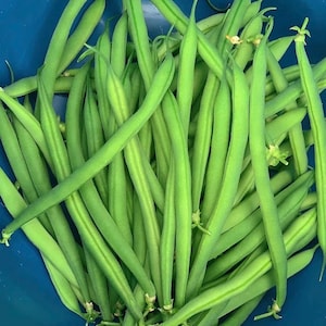 Op de afbeelding: Een close-up van een stapel verse, heldergroene sperziebonen. De bonen zijn lang en slank, met een lichte kromming. Ze zijn dicht opeengepakt en vullen het beeld. De achtergrond is effen blauw.