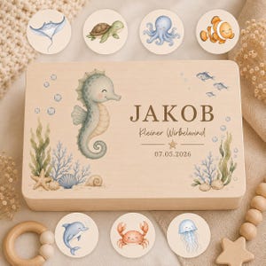 Könnte beinhalten: Eine rechteckige Holzbox mit einer Seepferdchen-Illustration, Algen, Muscheln sowie dem Text JAKOB, Kleiner Wirbelwind und 07.05.2026. Sieben runde Scheiben mit Illustrationen von Rochen, Schildkröte, Krake, Clownfisch, Delfin, Krabbe und Qualle.