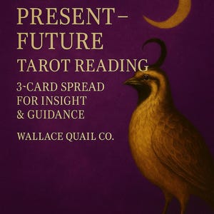 Past – Present – Future” Tarot Reading – 3 Card Spread for Insight & Guidance