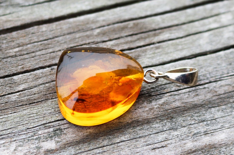 Baltic Amber Pendant Fossil Insect Natural Honey Unisex Jewelry 1.54 4.6 gram 925 silver