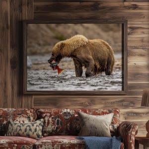 Grizzly Bear Art Print: Alaskan River Katmai Scene - Wildlife Home Decor