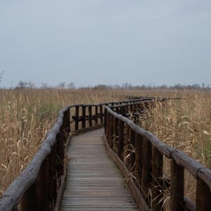Poster in carta opaca Pontile